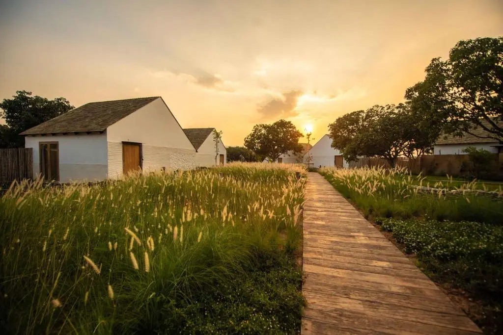Discover Roukh Kiri Khao Yai: A Stunning Minimalist-Rustic Retreat in Thailand's Hills